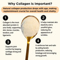 Halal Collagen Protein Powder - Grass Fed